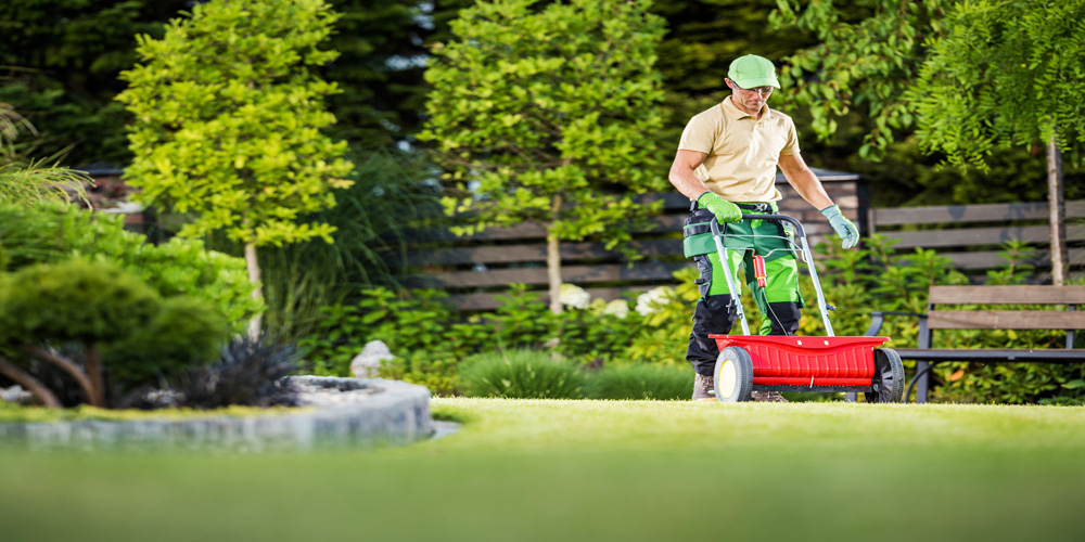 Landscape Gardener in Durham